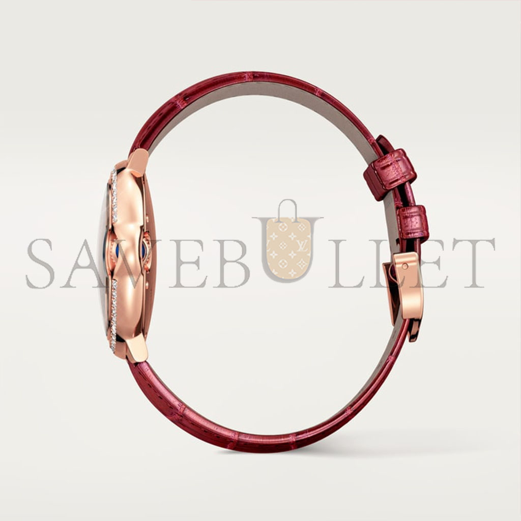 Ca*t*er ballon bleu de Ca*t*er watch wjbb0033