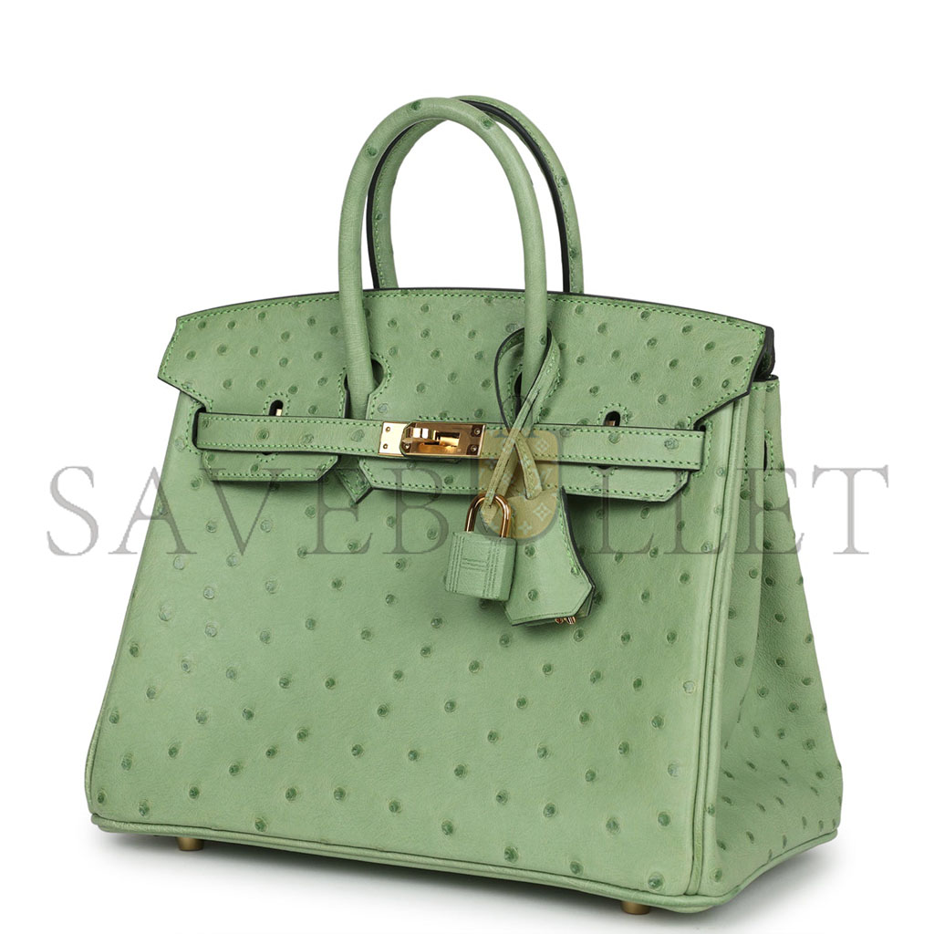 H**mes master birkin 30 decorated ostrich women