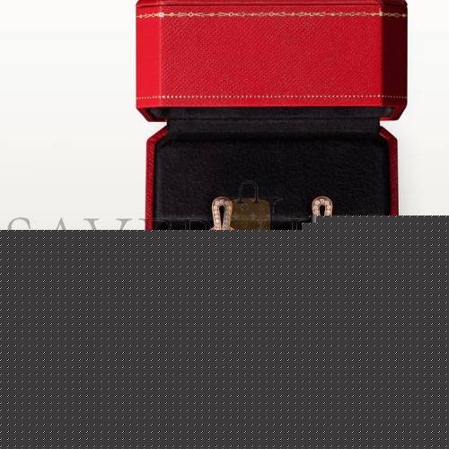 Ca*t*er agrafe earringsn8515186