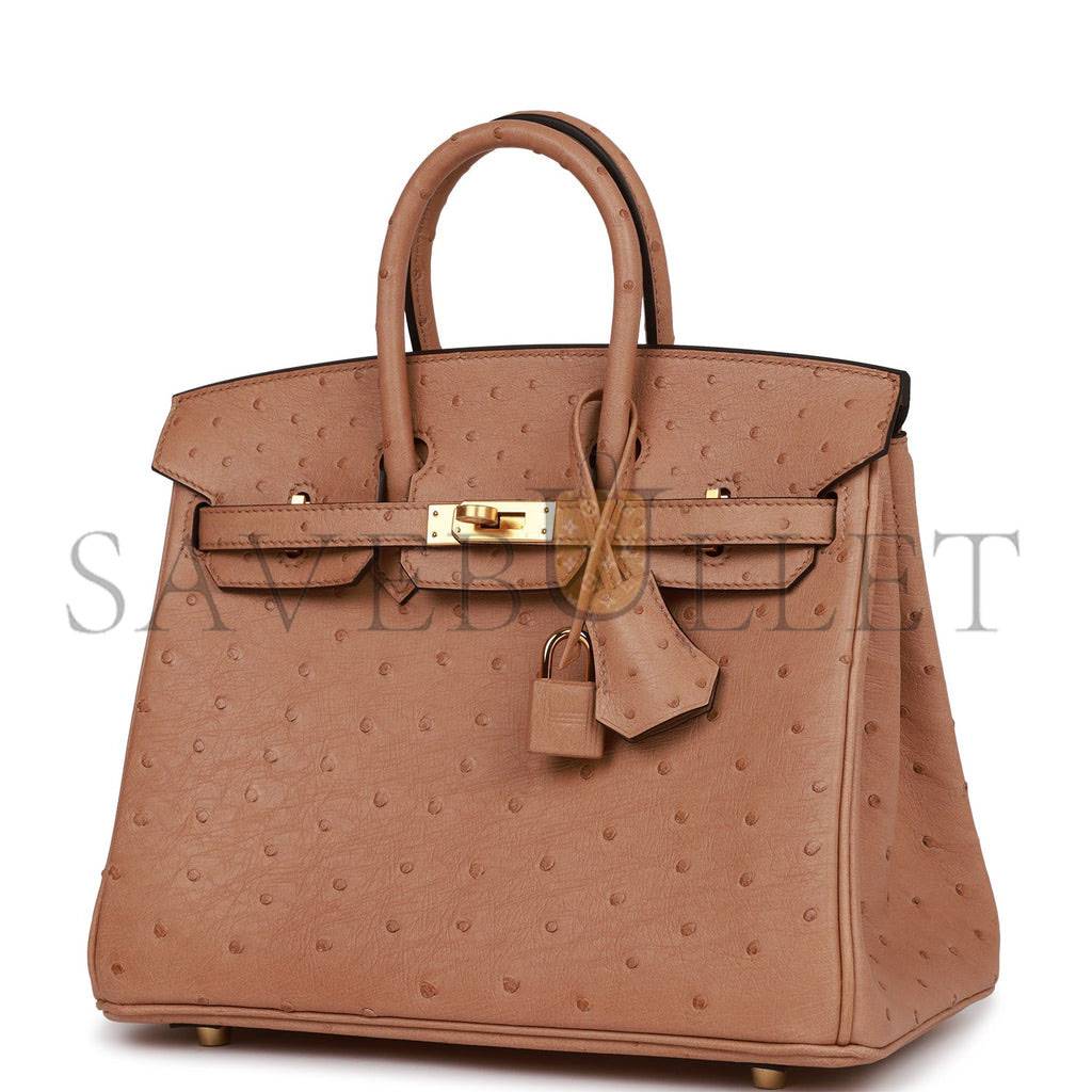 H**mes birkin 25 chai ostrich gold hardware (25cm)