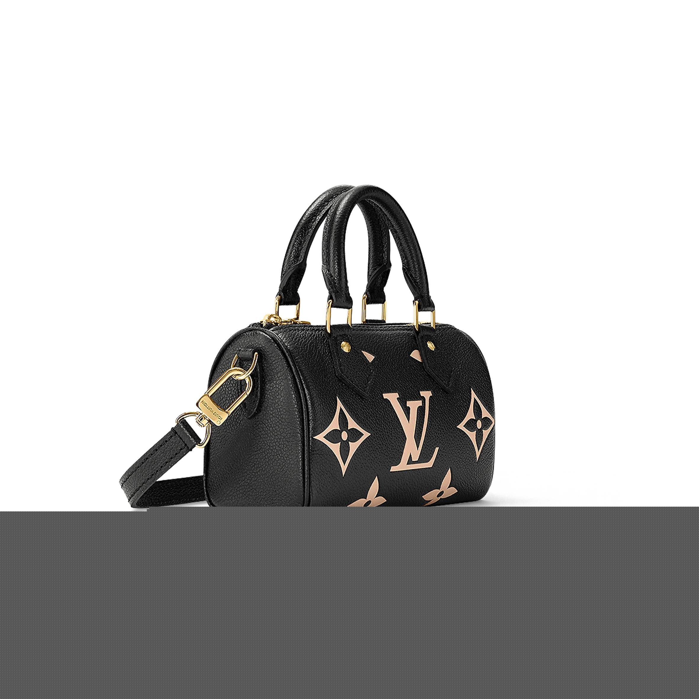 l**is V*t*n nano speedy m81456 (16*10*7.5cm)